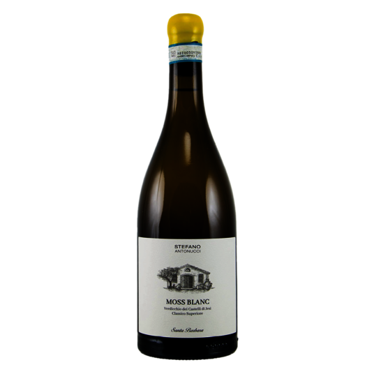 Wein "Moss Blanc Verdicchio" Eine Flasche des Weines "Moss Blanc Verdicchio"